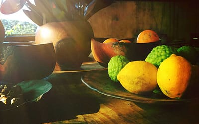 A family heirloom in the making