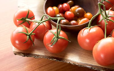 The Best Fruit Bowls: How to Store Fruit and Keep It Fresh Longer